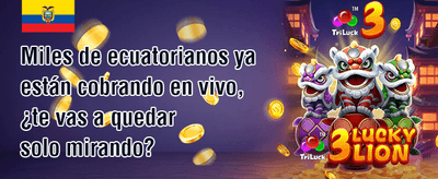 Bono de Bienvenida del 100% promotion
